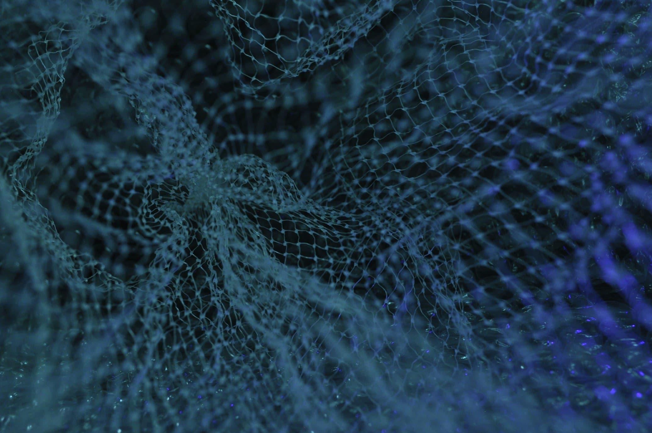 AI Platforms